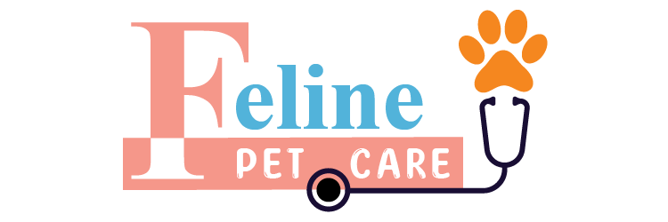 Feline pet care. Pet health guideline.